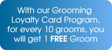 Grooming Loyalty Card Program