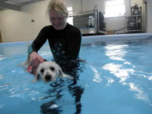 Our hydrotherapist swimming with a patient