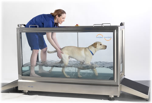 Underwater treadmill for dogs