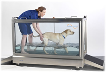 Underwater Treadmill