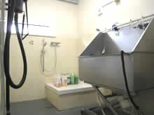 The wash room in the Grooming Parlour