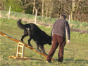 Agility Training